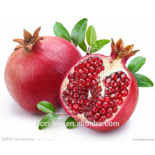 100% pur et naturel Pomegranate Hull Extrait poudre